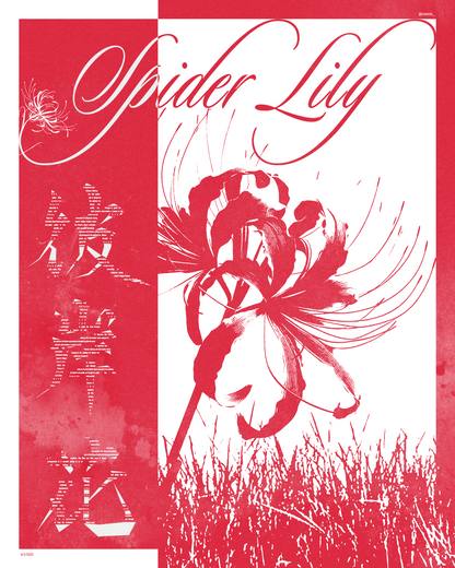 Japanese Spider Lily