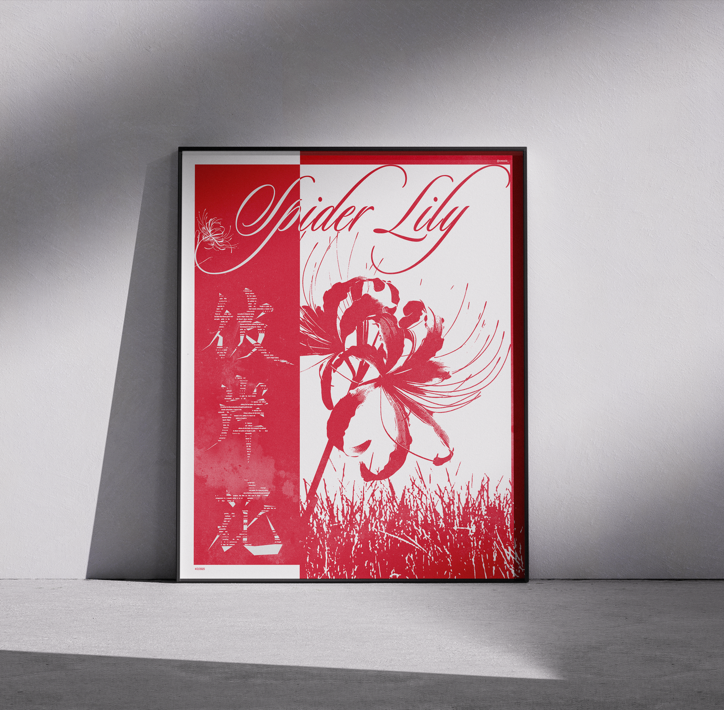 Japanese Spider Lily