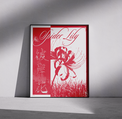 Japanese Spider Lily