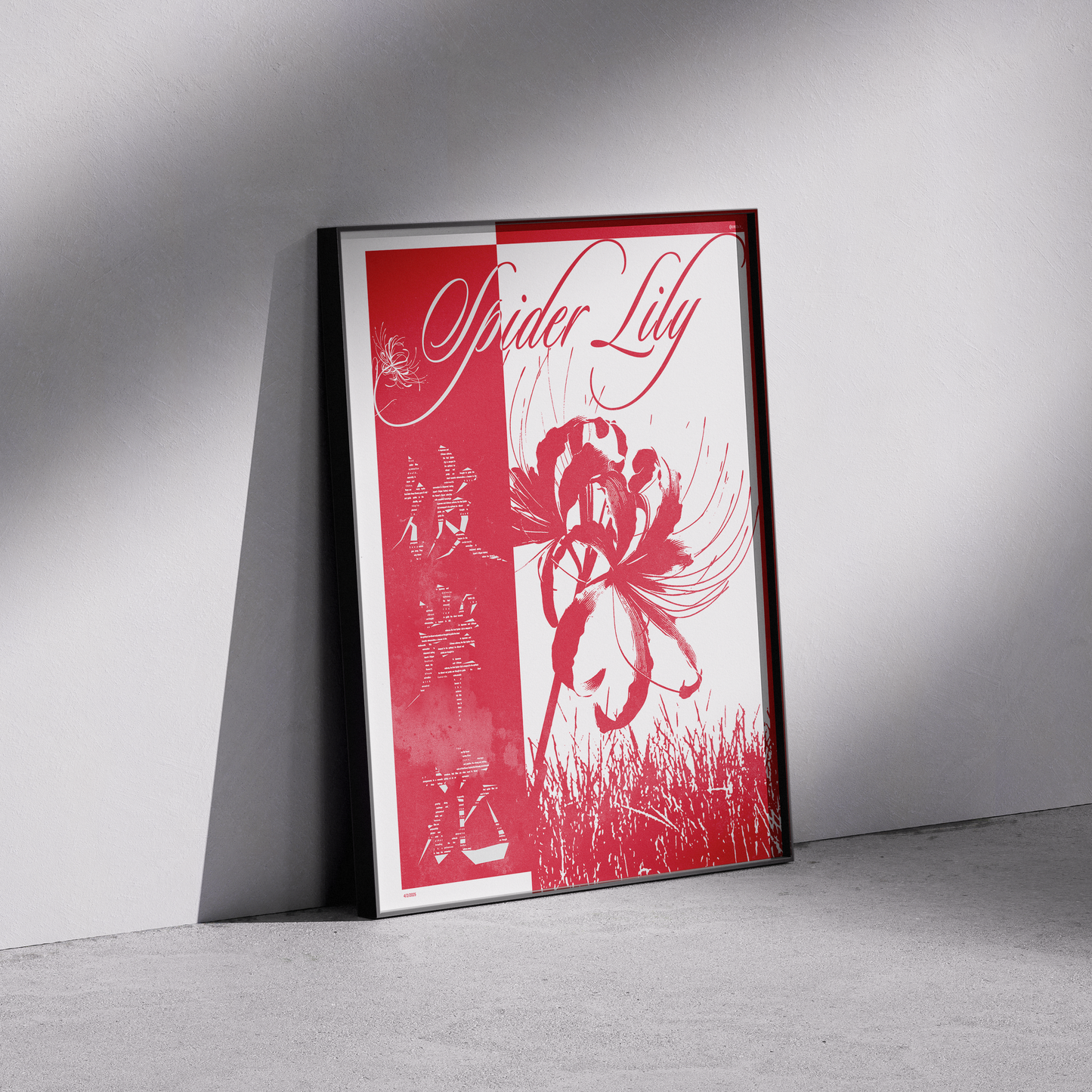 Japanese Spider Lily