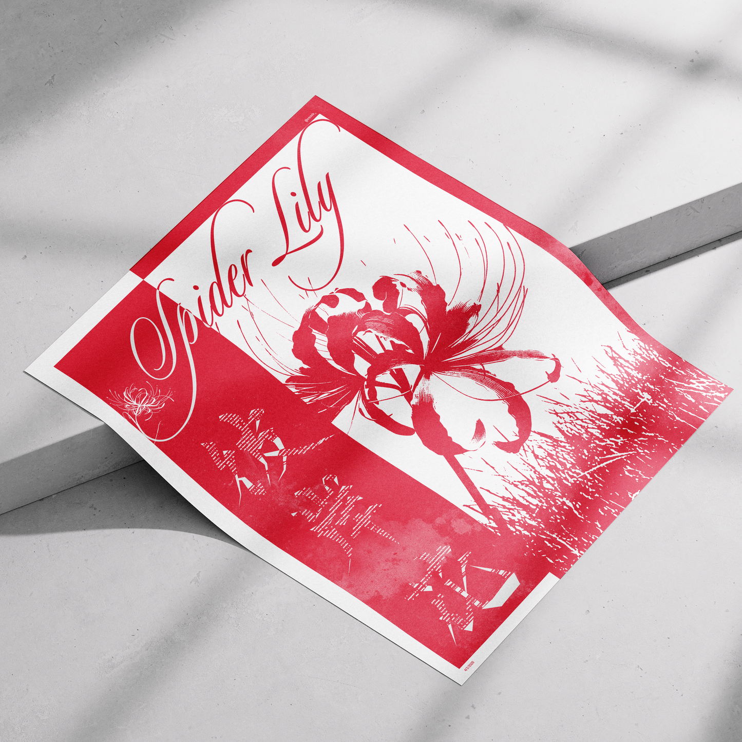 Japanese Spider Lily