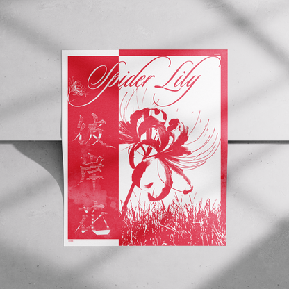 Japanese Spider Lily