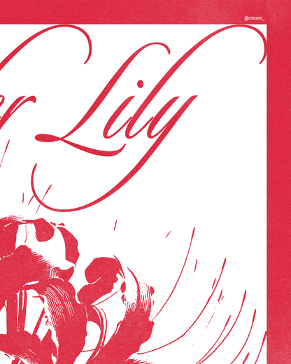 Japanese Spider Lily